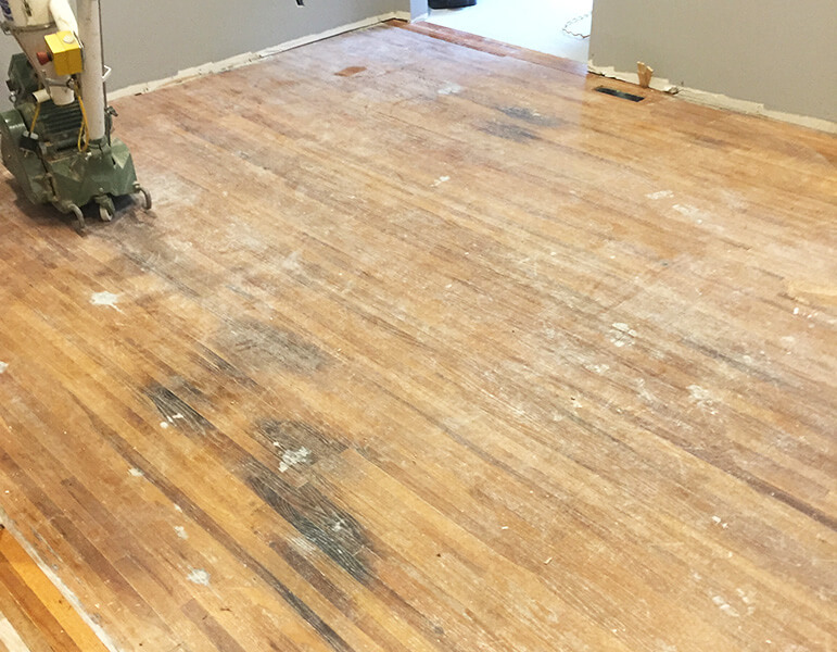 Pet stain before staining