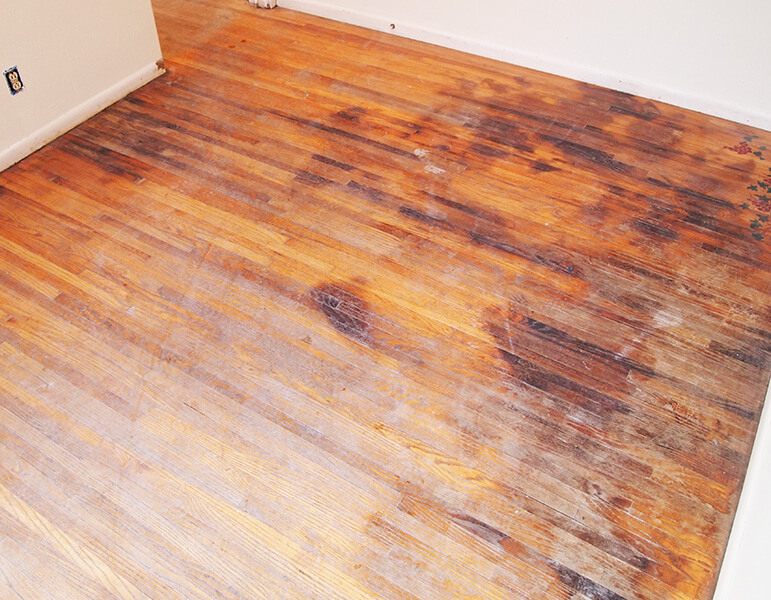 Pet stains in wood floors